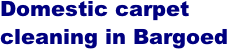 Domestic carpet cleaning in Bargoed